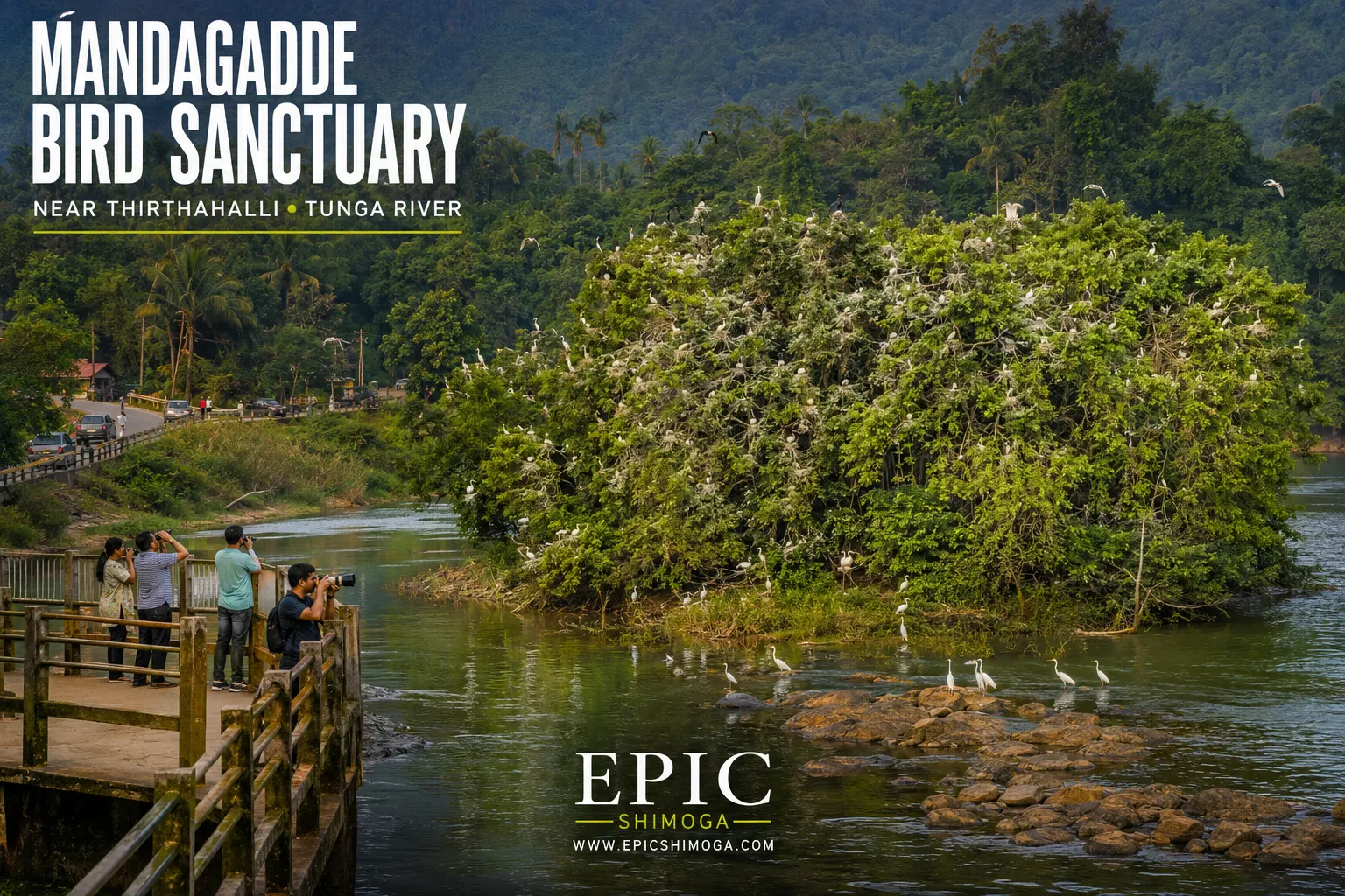 Mandagadde Bird Sanctuary Near Thirthahalli
