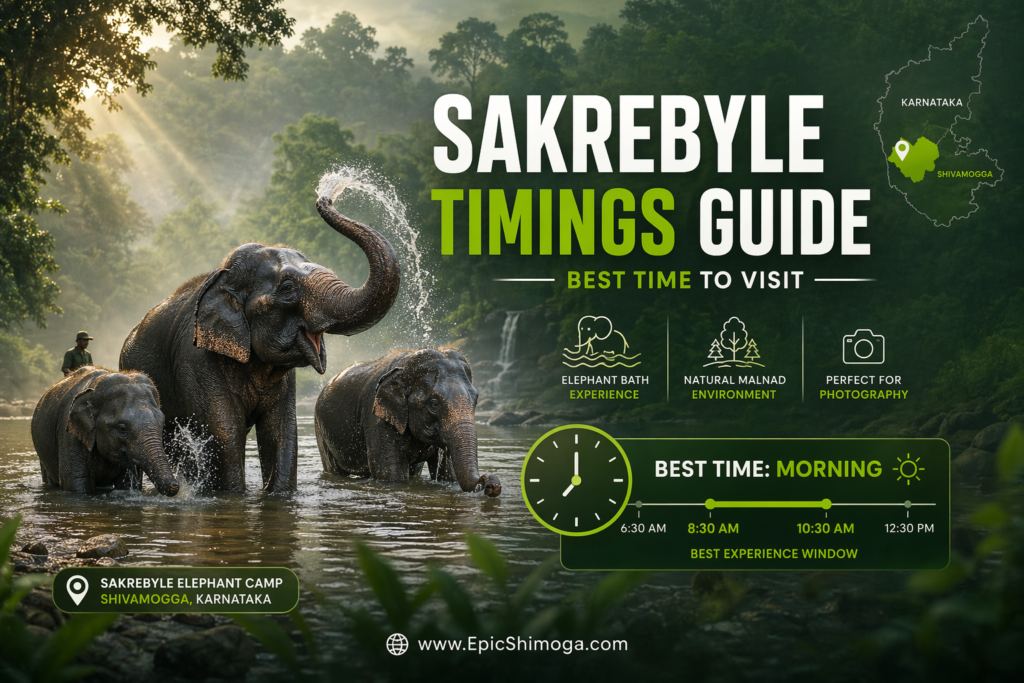 Sakrebyle Elephant Camp Timings